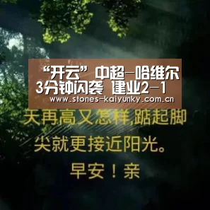 “开云”中超-哈维尔3分钟闪袭 建业2-1送申花三轮不胜