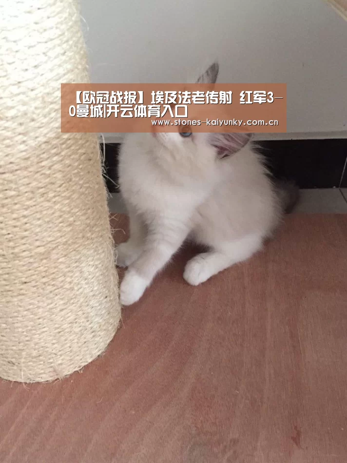 开云官网