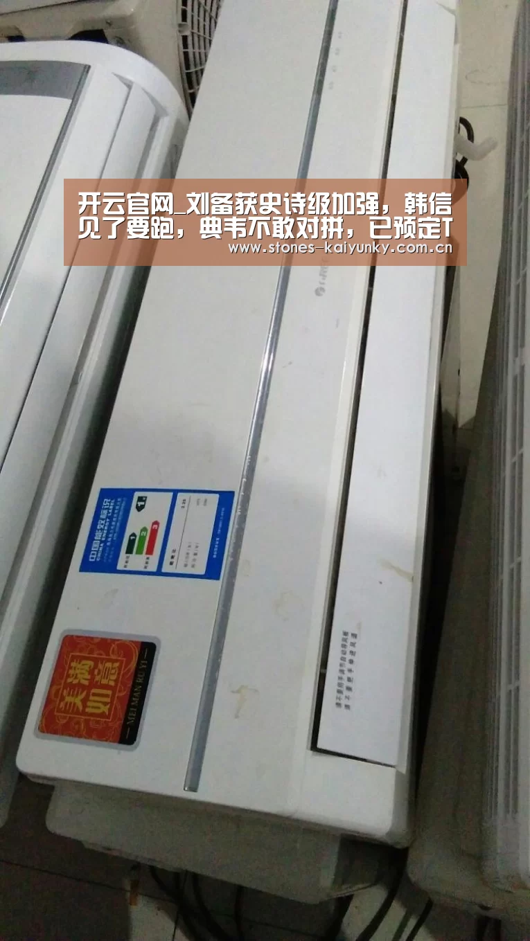 开云官网_刘备获史诗级加强，韩信见了要跑，典韦不敢对拼，已预定T0级打野