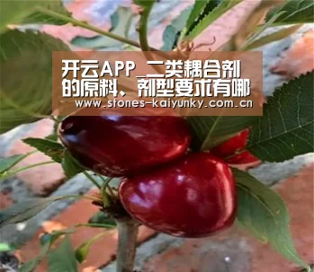 开云体育入口