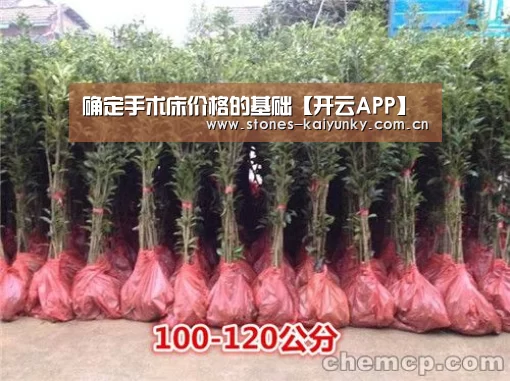 开云官网