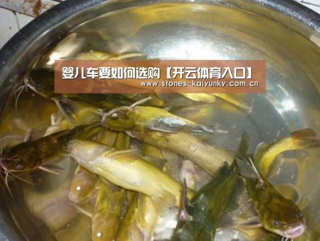 开云APP